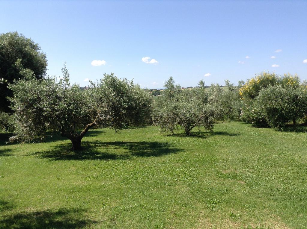 Trecentolivi B&B Montignano Bagian luar foto