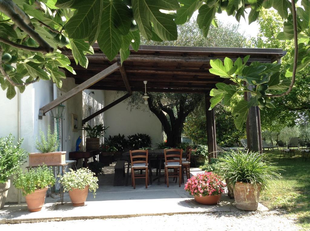Trecentolivi B&B Montignano Bagian luar foto