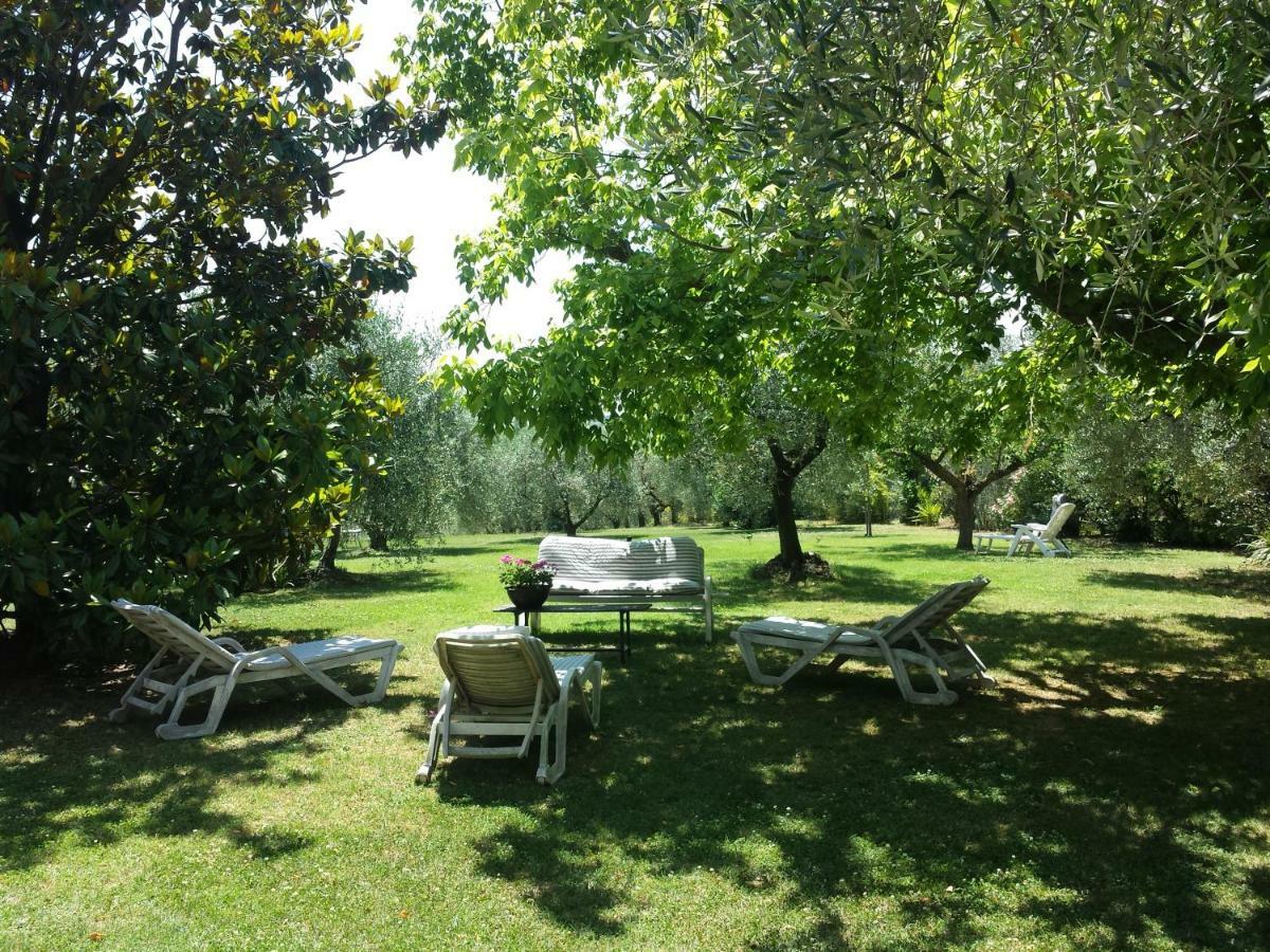 Trecentolivi B&B Montignano Bagian luar foto