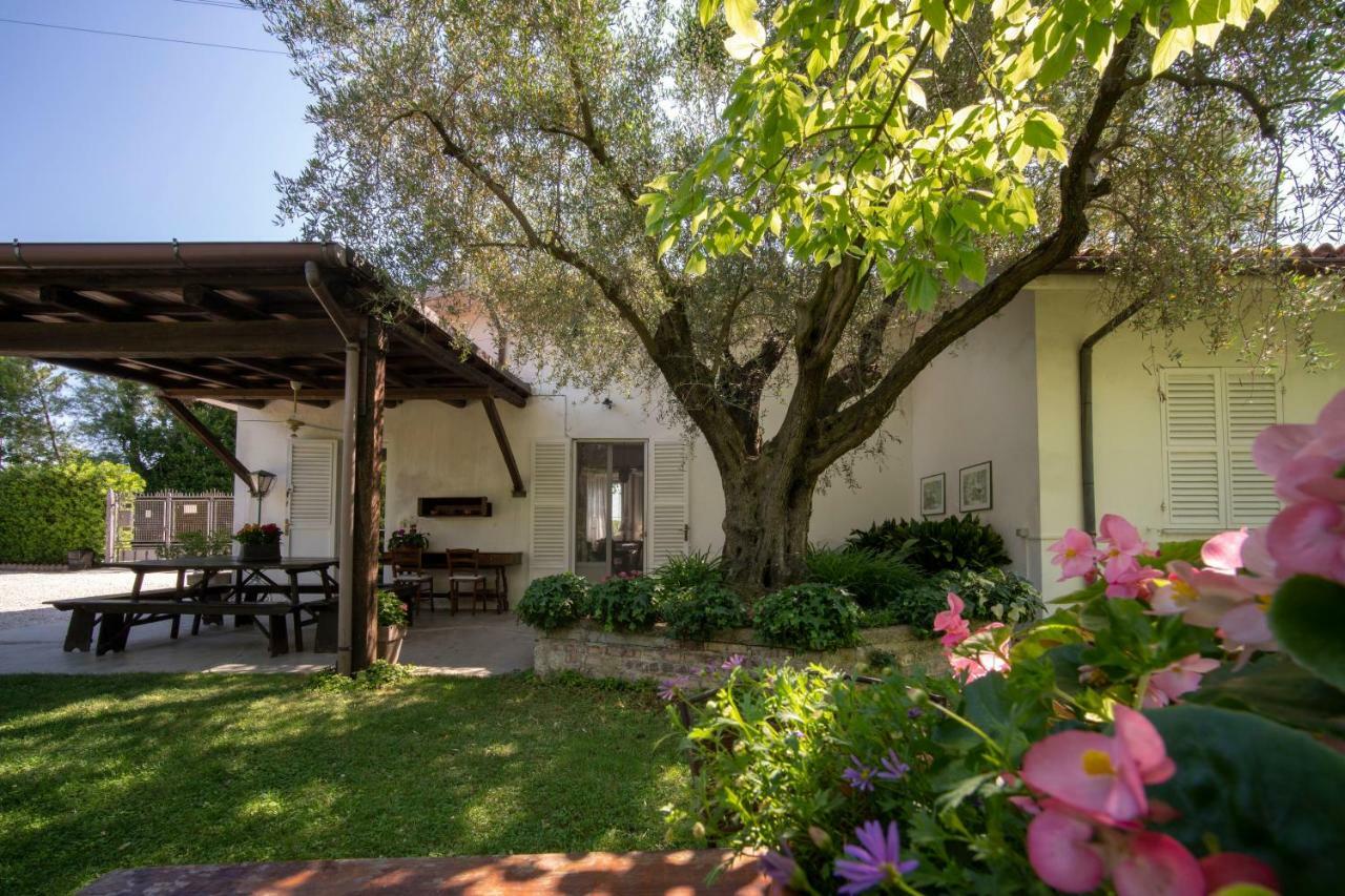 Trecentolivi B&B Montignano Bagian luar foto
